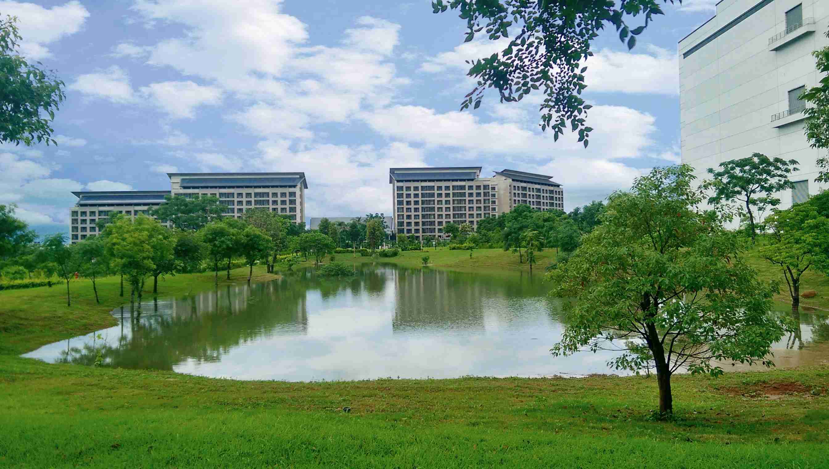 森林舞会响应国际倡议生物多样性趋势，，首次发布TNFD自然相关财务揭露报告书，，，擘划及开展森林舞会生物多样性政策之承诺，，，，逐步迈向与自然和谐共生